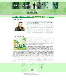 網(wǎng)頁(yè)設(shè)計(jì)模板 高效構(gòu)建專業(yè)網(wǎng)站的關(guān)鍵